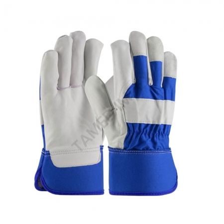 Candion Gloves